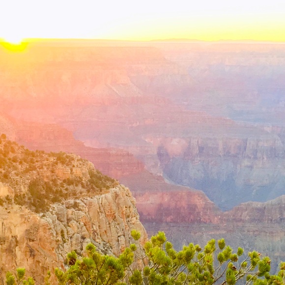 Meet your Posher, Alix - Picture 1 of 2